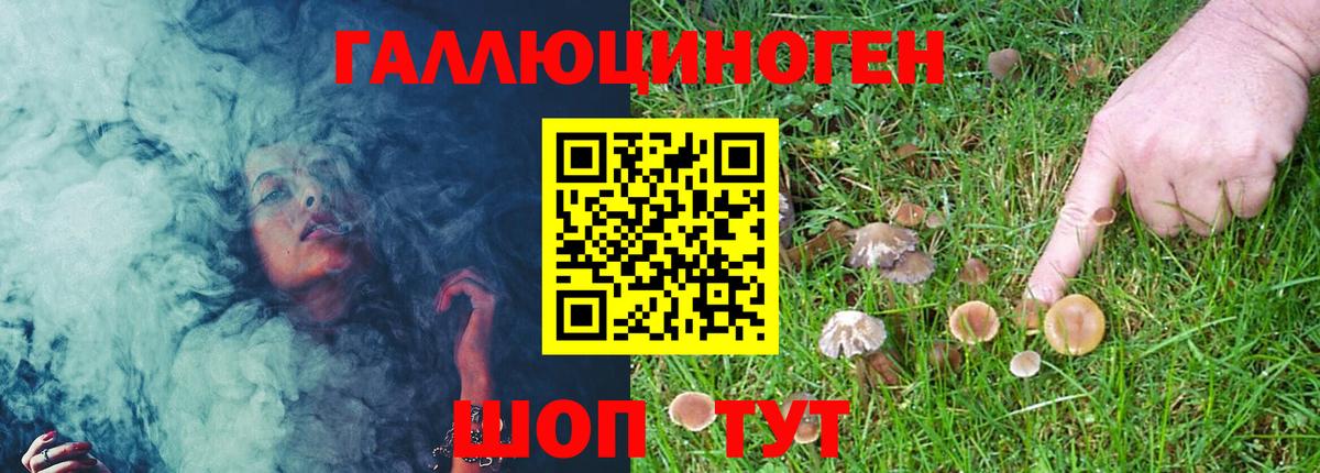 Галлюциногенные грибы Psilocybe  Вход с VPN  Псилоцибиновые грибы мицелий  Санкт-Петербург 