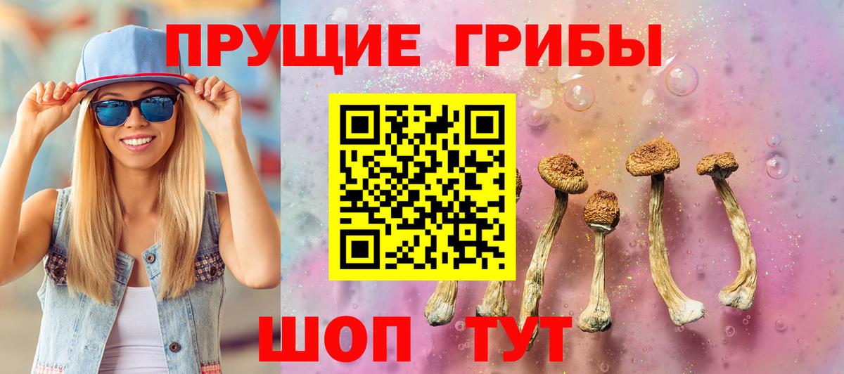 Галлюциногенные грибы мухоморы Санкт-Петербург